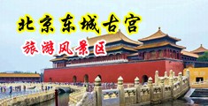 女奴调教在线观看中国北京-东城古宫旅游风景区